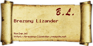Brezsny Lizander névjegykártya